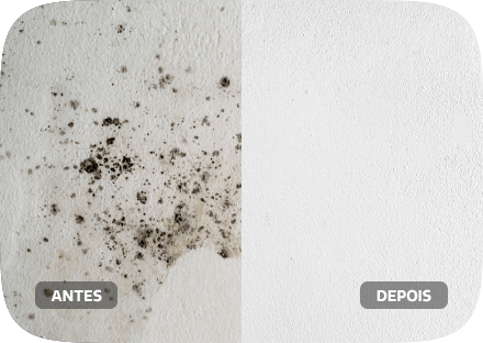 Proteção contra mofo, fungos e bactérias